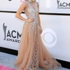 52nd-academy-of-country-music_5638637.jpg