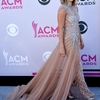On-the-red-carpet-at-the-Academy-of-Country-Music-Awards_3_1.jpg
